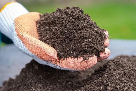 Peatmoss: Verrijking voor Uw Bodem en Toepassing in Biologische Landbouw?