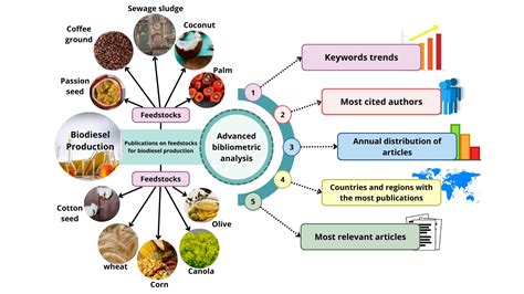  Sorghum: Bio-Based Fuel Source & Sustainable Feedstock for a Greener Future!